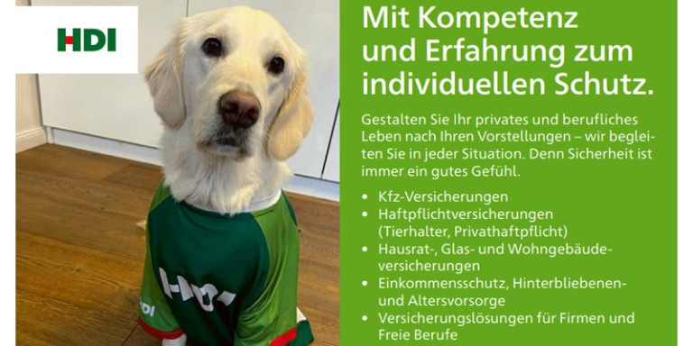 HDI Flyer der Agentur mit Bürohund Ella
