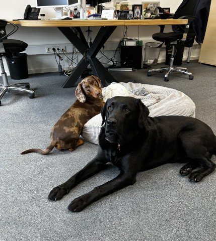 Oscar und Fred