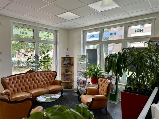 In diesem Bild erkennt man eine Sitzecke mit einer braunen Ledercouch und zwei braunen Ledersesseln. In der Ecke hinter der Sitzecke an der Wand erkennt man ein Regal. Neben der Ecke sind zwei Fensterfronten und um der Sitzecke stehen grüne Pflanzen. 