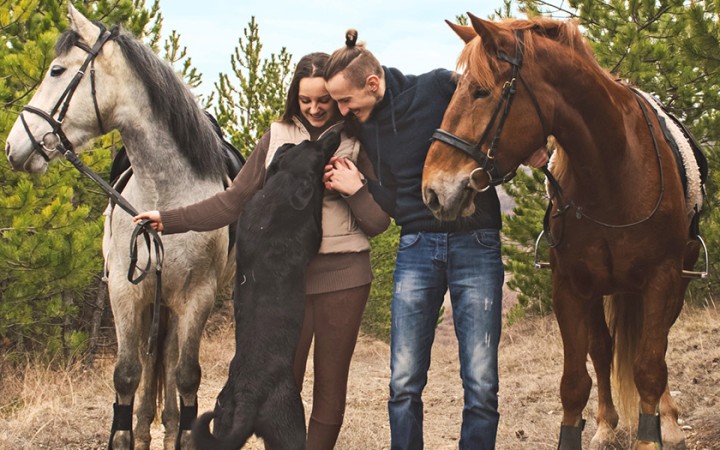 Tierhalter Haftpflicht