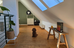 Innenansicht Agentur