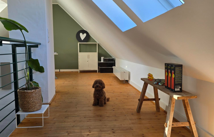 Innenansicht Agentur