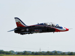 Modellflugzeug mit roten, weißen und blauen Details in der Luft. Im Hintergrund sieht man verschwommen eine Waldaknte und einen trüben Himmel.