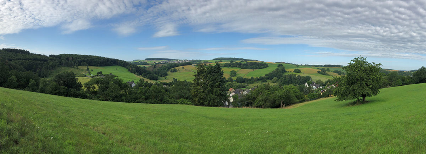 Panoramablick über Niedertiefenbach, es ist viel Natur zu sehen und im Hintergrund vereinzelt Einfamilienhäuser