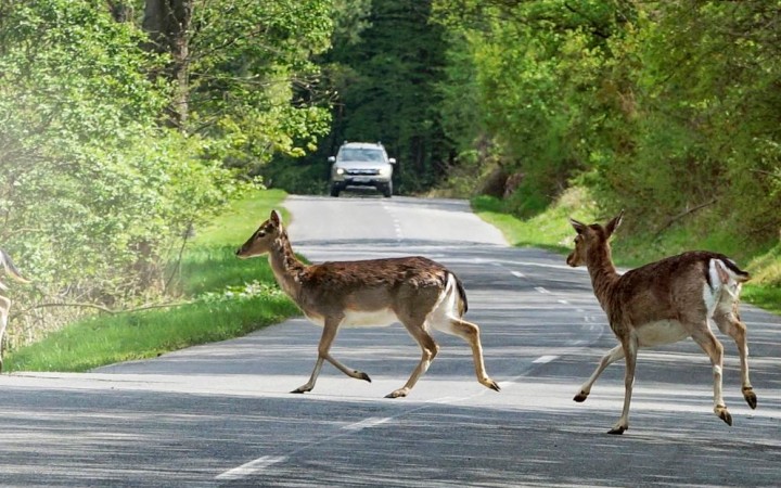 Wenn sich Wege unerwünscht kreuzen 