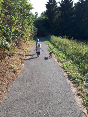 zwei Kinder auf einem grauen Gehweg. Neben dem Weg sind grüne Gebüsche und das kleiner Kind hat in der rechten Hand eine leine in der Hand mit dem Sie einen kleinen braunen Hund festhält.