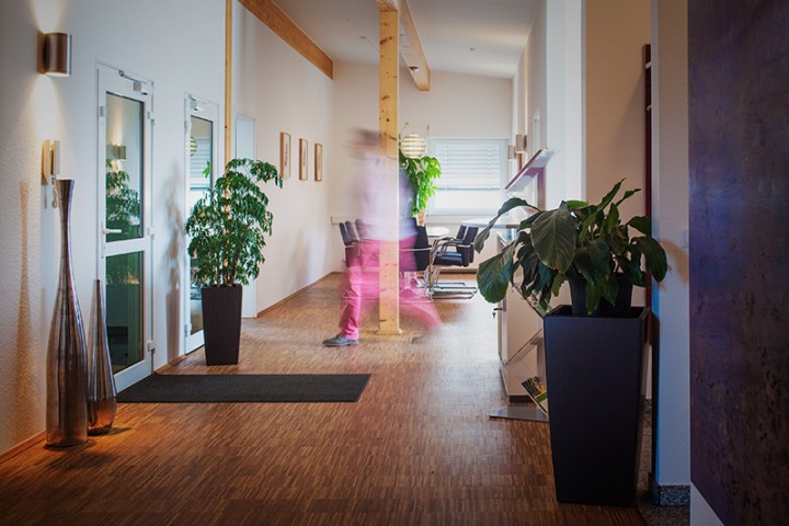 Blick in die Agentur, im Vordergrund steht eine Grünpflanze, im Hintergrund läuft ein Mensch durchs Bild