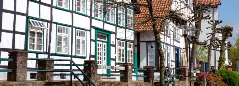 zwei weiße Häuser mit grün und schwarzen Balken. Davor stehen Baumstämme und ein grüner, gruaer Steinzaun grenzt diese von dem Haus ab 