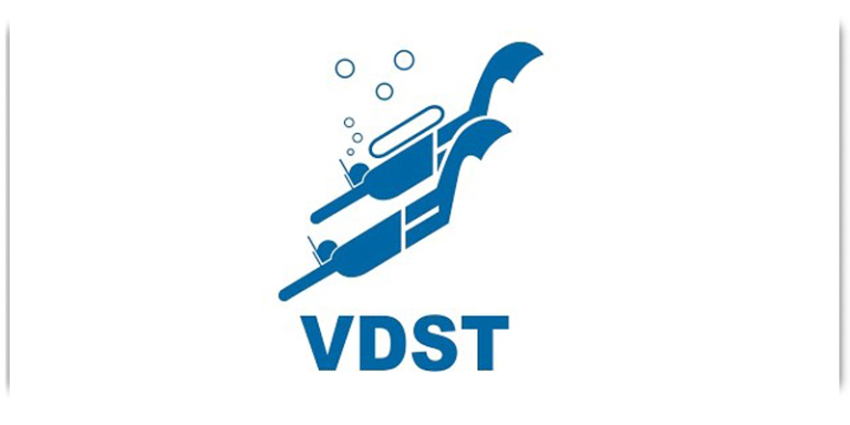 Logo VDST