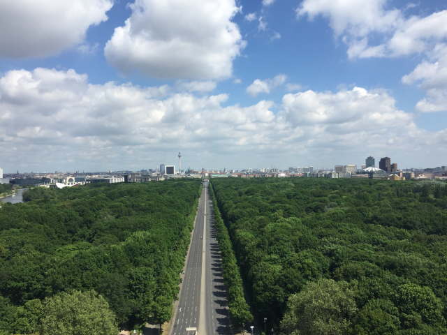 In der Mitte ist eine grau Straße und neben der Straße sind grüne Bäume. Am Ende der Straße ist stehen Häuser und der Himmel ist blau. Das Foto wurde aus der Vogelperspektive aufgenommen.