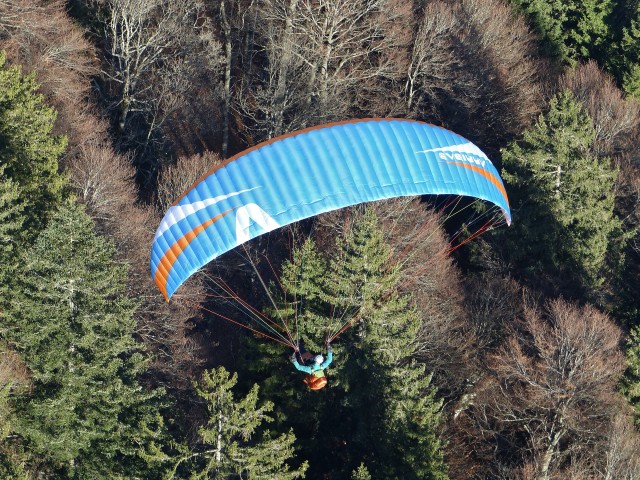 Gleitschirm Drachenflieger in blau. Dieser fliegt über einen braun, grünen Wald.