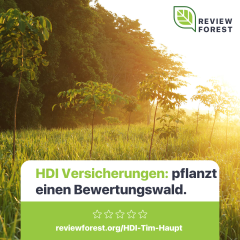 Zusehen sind grüne Bäume und grüne Gräser. Von der rechten Seite scheint eine Sonne, da es ziemlich hell ist. Oben rechts in der Ecke ist ein grünes Blatt Symbol und rechts daneben steht in schwarz Review Forest. Unten in der Mitte ist ein weiß, grüner Kasten mit der Aufschrift HDI versicherungen: pflanzt einen Bewertungswald, dann sind darunter fünf Sterne und darunter steht reviewforste.org/HDI-Tim-HauptVHP