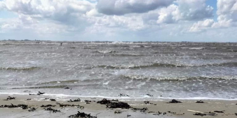 Meer am Strand in Ostfriesland