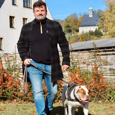 Taube geht mit Hund spazieren