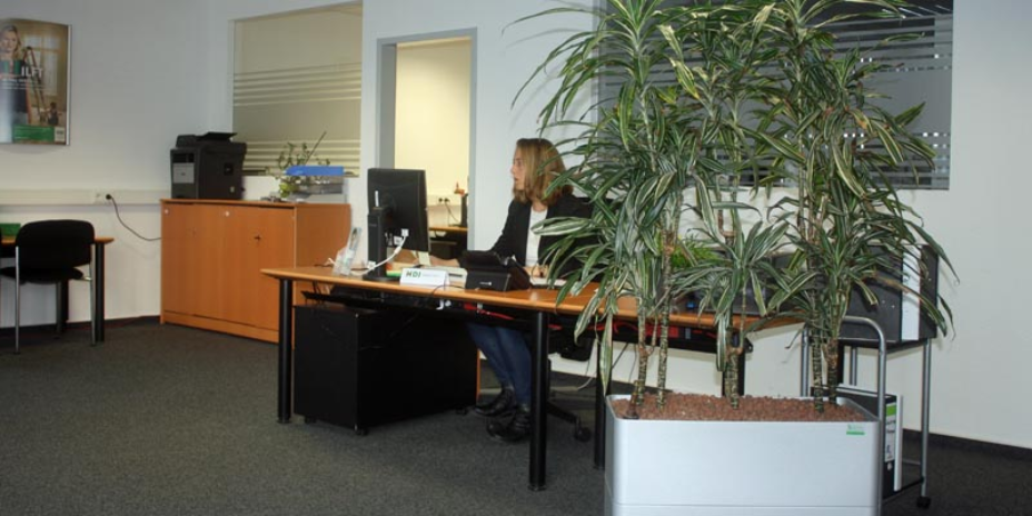 links steht ein braunes Regal auf dem ein schwarzer drucker, und Fächer draufstehen. daneben ist ein Durchgang zu einem weiteren büro. Neben dem Durchgang ist ein brauner schreibtisch auf dem ein PC steht und am Schreibtisch sitzt eine Mitarbeiterin. Rechts steht eine grüne Pflanze in einem weißen Topf