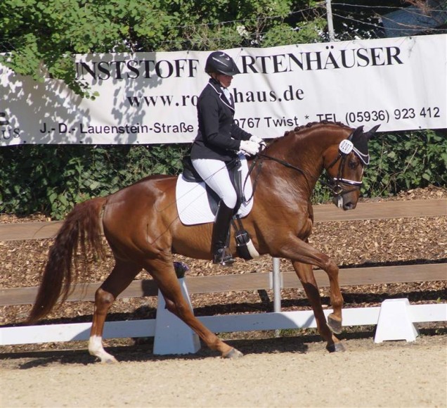 Schröers auf Pferd