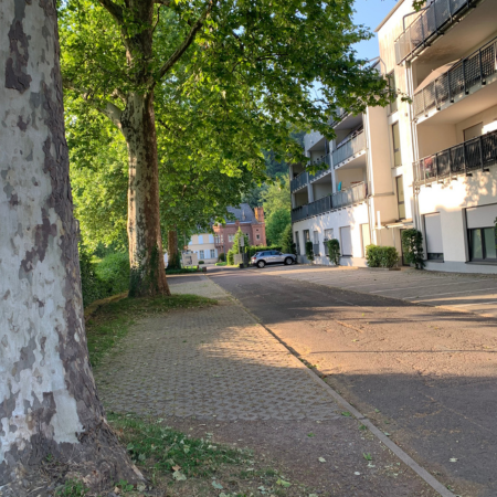 Mareke_Neumann_Agentur