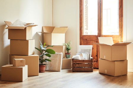 Zimmer mit Holzboden und alter, doppelflügeliger Holztür mit Glas, in dem Umzugskartons und eine Pflanze stehen