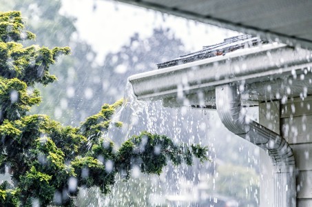 Regenrinne voller Wasser sprudelt über während es stark regnet, der linke Bildbereich wird von Bäumen eingenommen
