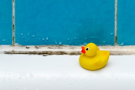 Weißer Badewannenrand mit türkisfarbenen Fliesen dahinter une eine gelbe Quietscheente, die auf dem Rand sitzt, die Silikonfugen haben die Anfänge von schwarzem Schimmel