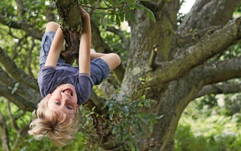 Kleiner Junge ist auf einen Baum geklettert und lässt sich jetzt kopfüber davon herunterhängen