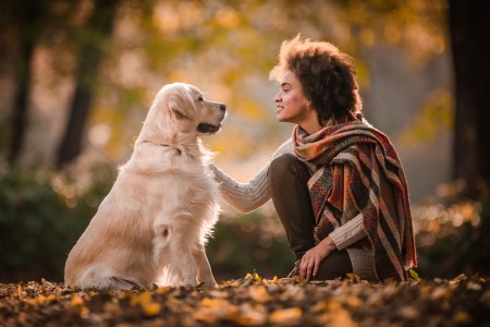 Golden Retriever sitzt und Frau mit Poncho kniet davor und streichelt den Hund