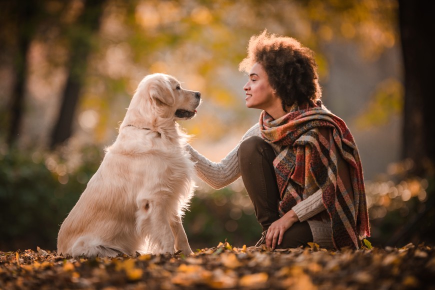 Golden Retriever sitzt und Frau mit Poncho kniet davor und streichelt den Hund