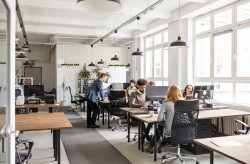 Ratgeber Firmenversicherungen