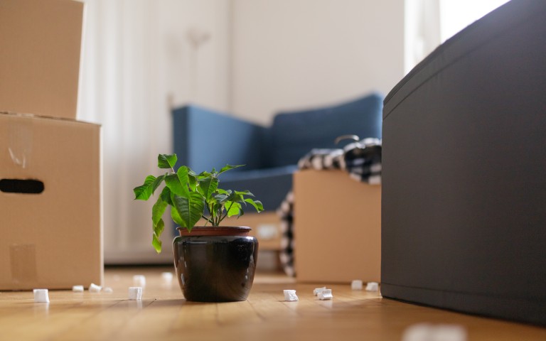 Vase auf dem Boden