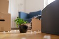 Mietsachschäden: Gut geschützt mit der Haftpflichtversicherung