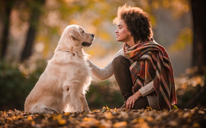 Pflichtversicherung Hund