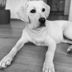 Kika